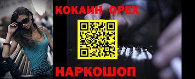 крисы Можга