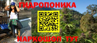 крисы Можга