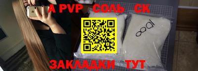крисы Можга