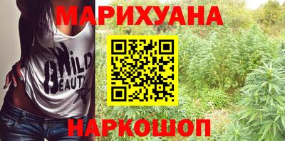 крисы Можга