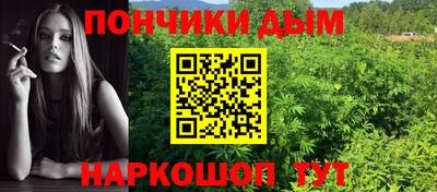 крисы Можга