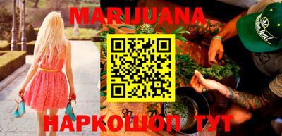 крисы Можга
