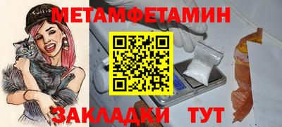 крисы Можга