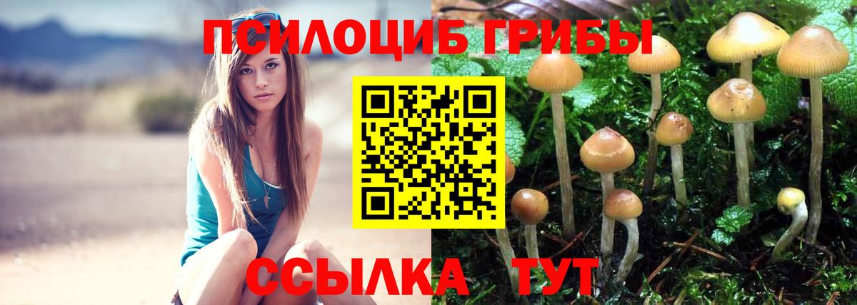 Пятигорск  Псилоцибиновые грибы мухоморы  Вход с VPN  Галлюциногенные грибы GOLDEN TEACHER 